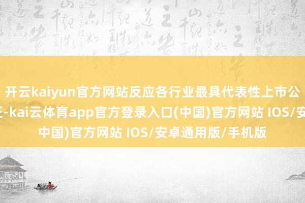 开云kaiyun官方网站反应各行业最具代表性上市公司证券的举座特征-kai云体育app官方登录入口(中国)官方网站 IOS/安卓通用版/手机版
