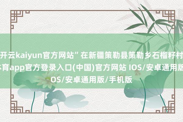 开云kaiyun官方网站”在新疆策勒县策勒乡石榴籽村-kai云体育app官方登录入口(中国)官方网站 IOS/安卓通用版/手机版