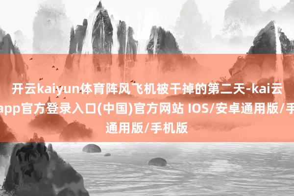 开云kaiyun体育阵风飞机被干掉的第二天-kai云体育app官方登录入口(中国)官方网站 IOS/安卓通用版/手机版