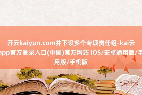 开云kaiyun.com并下设多个专项责任组-kai云体育app官方登录入口(中国)官方网站 IOS/安卓通用版/手机版