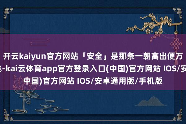 开云kaiyun官方网站「安全」是那条一朝高出便万劫不复的惟一红线-kai云体育app官方登录入口(中国)官方网站 IOS/安卓通用版/手机版