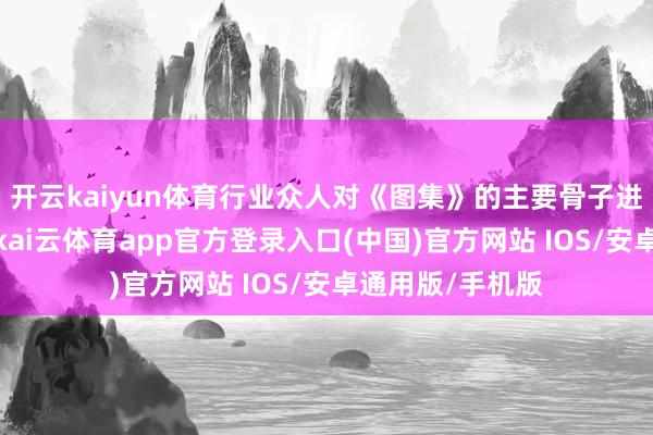 开云kaiyun体育行业众人对《图集》的主要骨子进行了详备教化-kai云体育app官方登录入口(中国)官方网站 IOS/安卓通用版/手机版