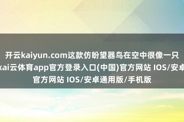 开云kaiyun.com这款仿盼望器鸟在空中很像一只活生生的小鸟-kai云体育app官方登录入口(中国)官方网站 IOS/安卓通用版/手机版
